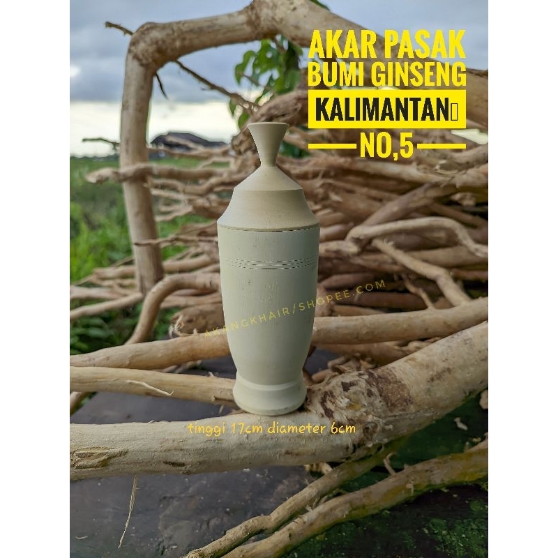 

Gelas Akar Pasak-Bumi Cangkir Pasak Bumi Herbal Kalimantan