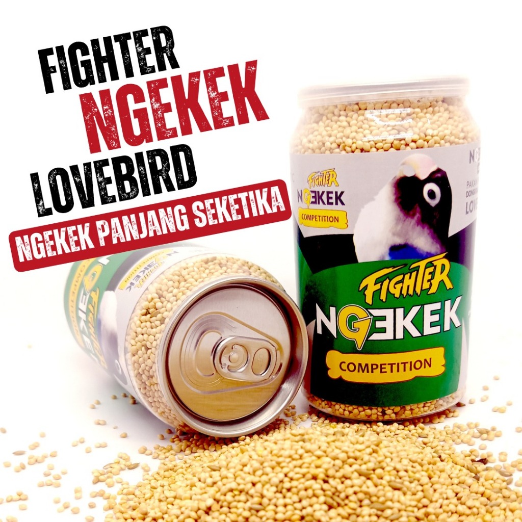 NGEKEK FIGHTER LOVEBIRD - Pakan Burung Lovebird Ngekek Panjang Seketika