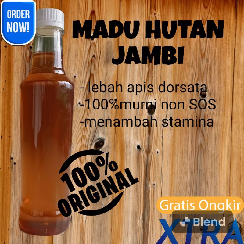 Madu Hutan Murni 100% Jambi