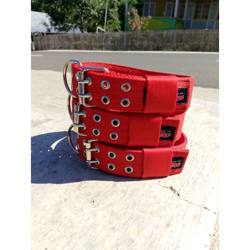 Kalung Pitbull Dogo 2 lubang