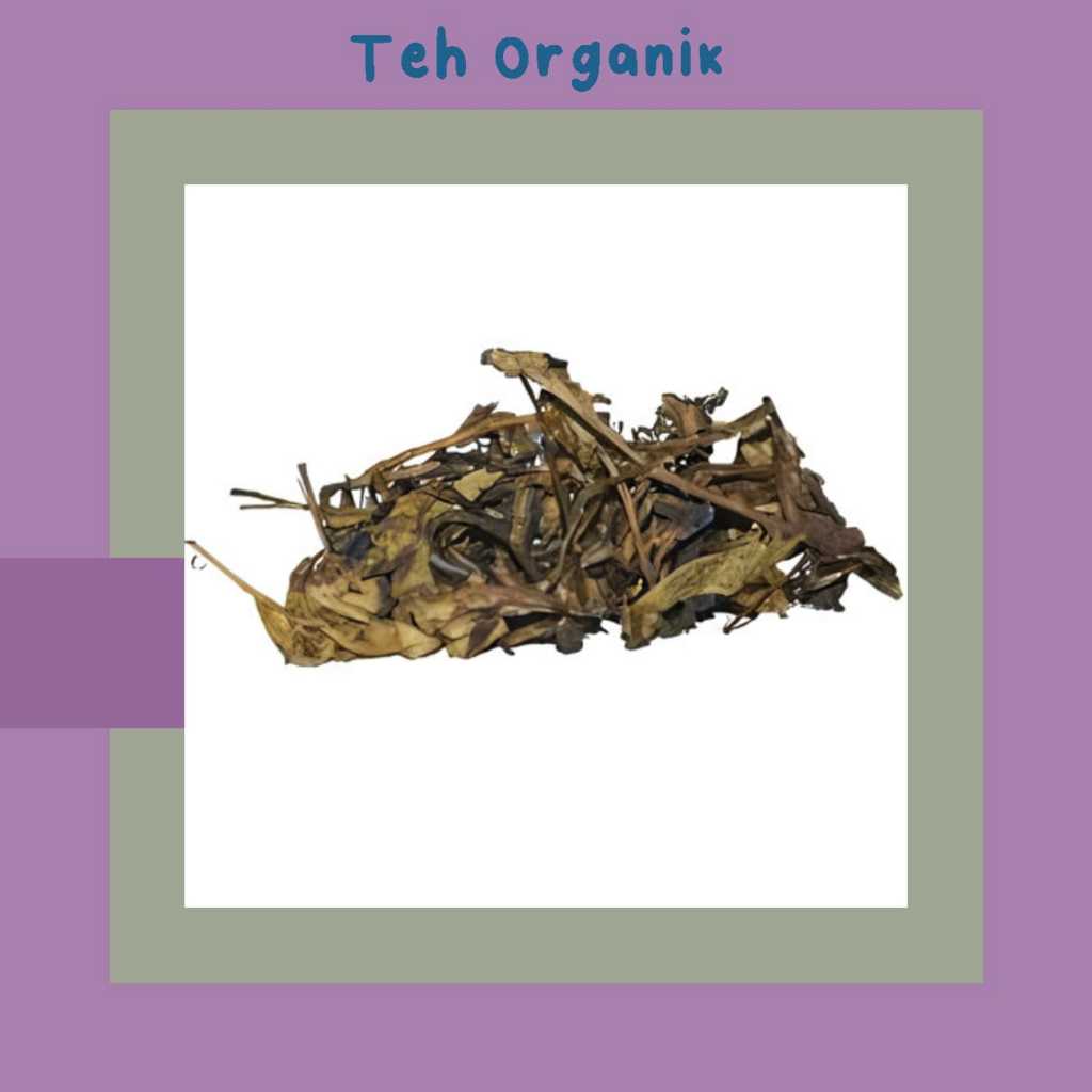 

TEH KERING ORGANIK 100% | Khas Pagilaran Batang