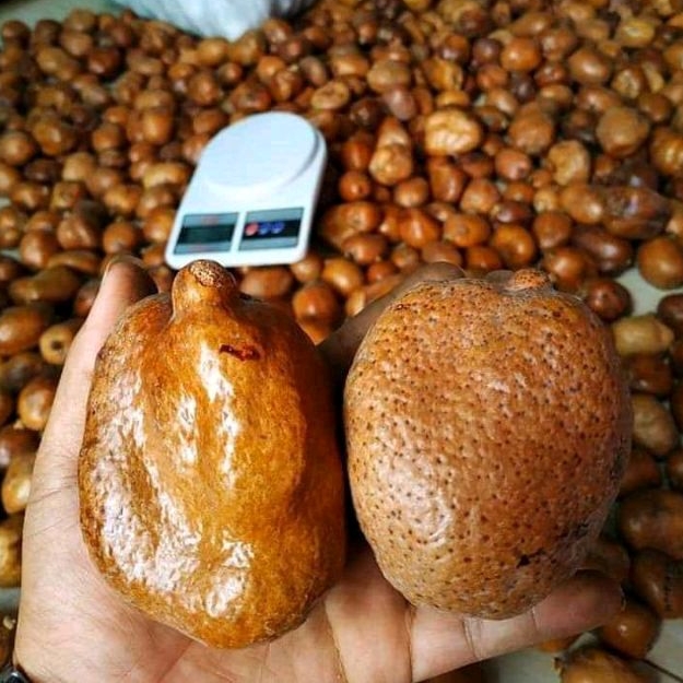 

Buah Zuriat Premium