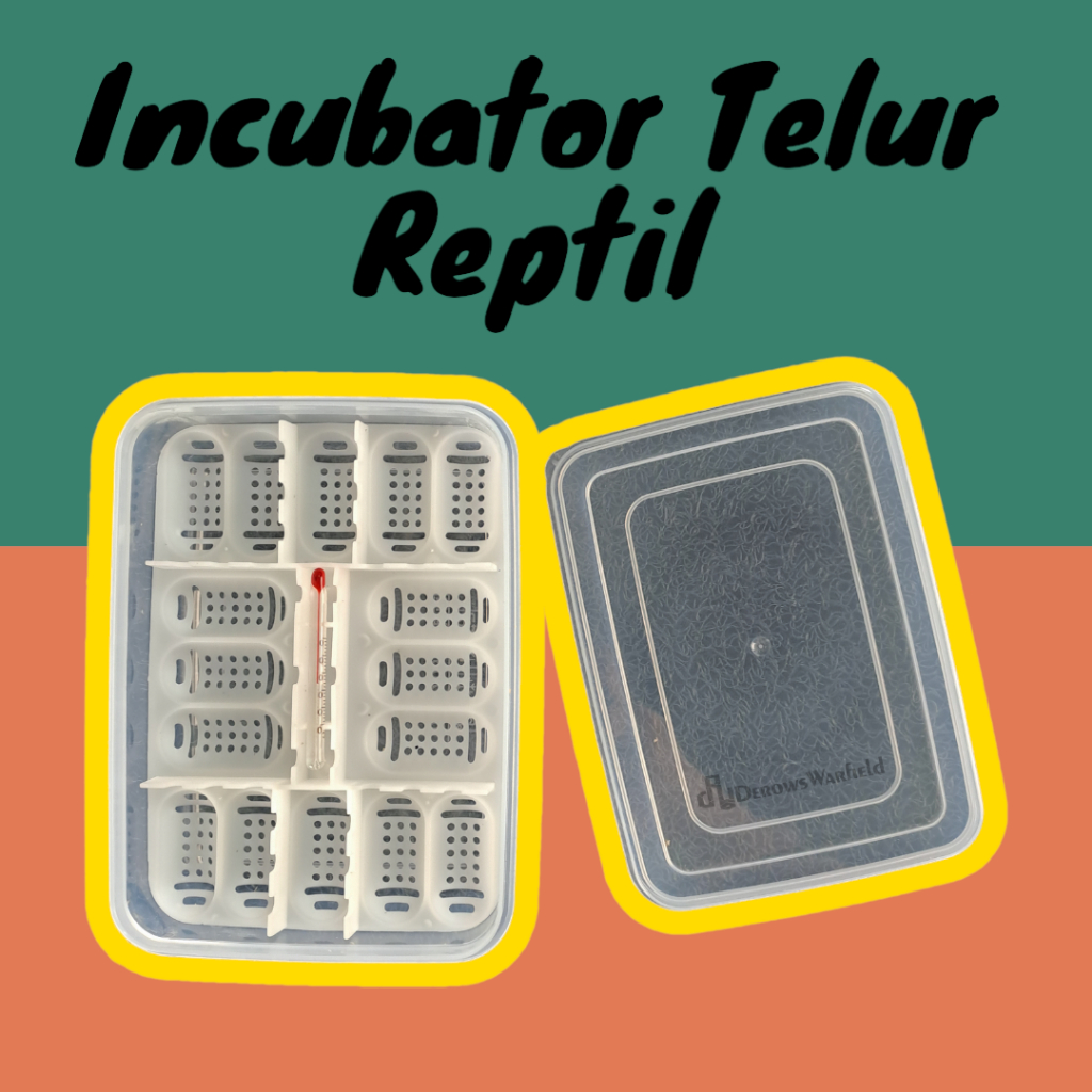 incubator Reptile Egg | Inkubator Telur Reptil Kapasitas 16 Butir |  Incubator Telur Gecko | Incubat