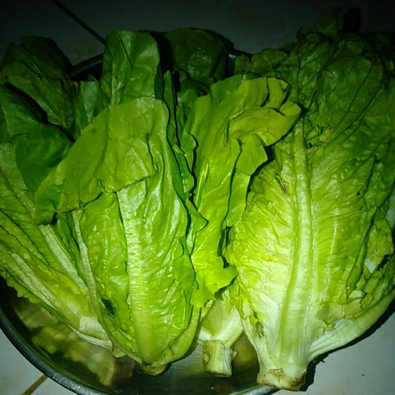 

SAYUR ROMIN ROMEN segar