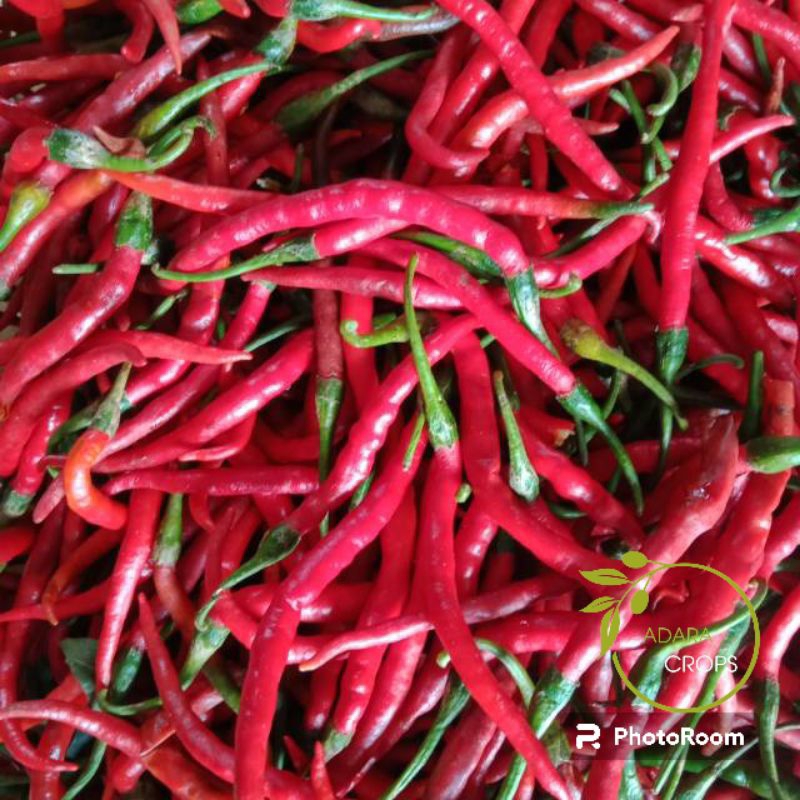 

Cabe Kriting Merah Fress 1Kg