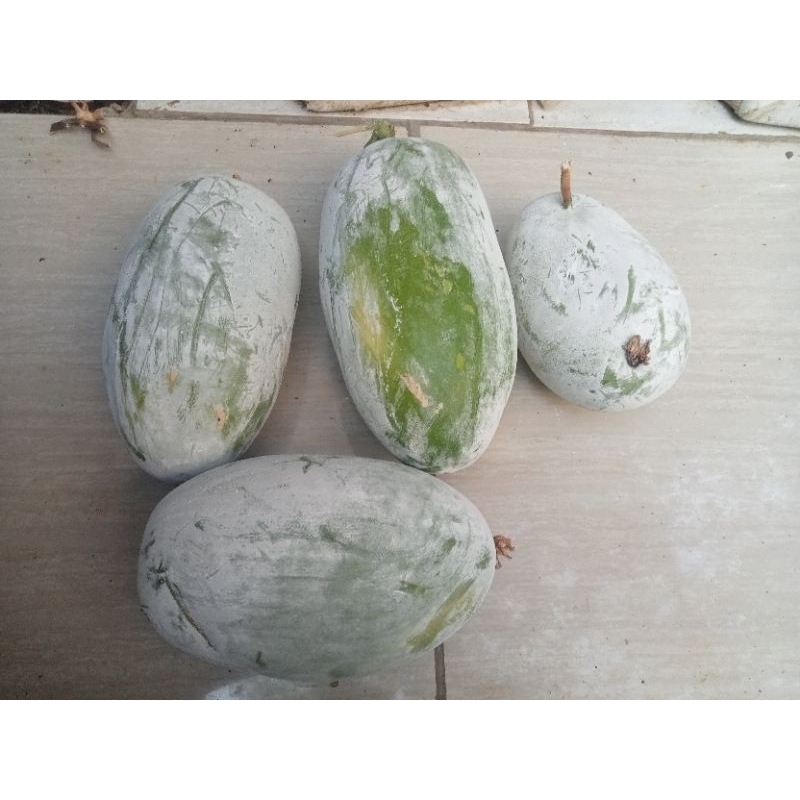 

BUAH BLIGO ATAU KUNDUR SEJENIS LABU SAYUR 2kg
