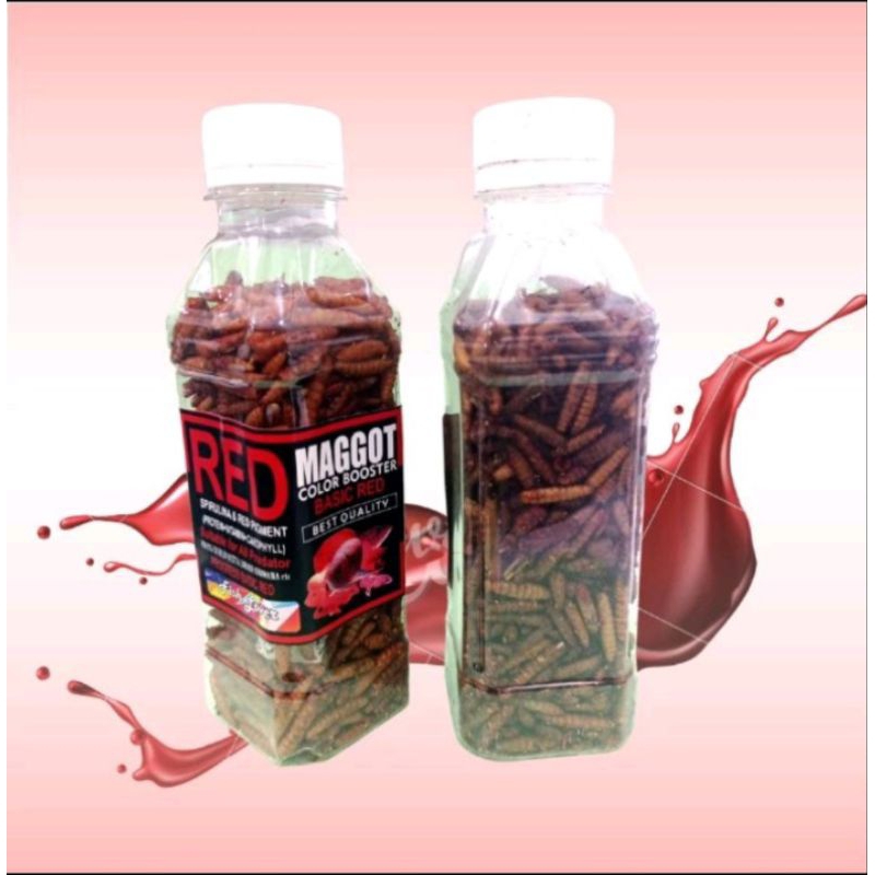 Makanan Ikan chana FISH LOVER MAGGOT BOTOL Red Blue Yellow 60gr