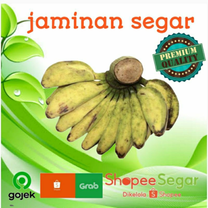 

pisang kepok