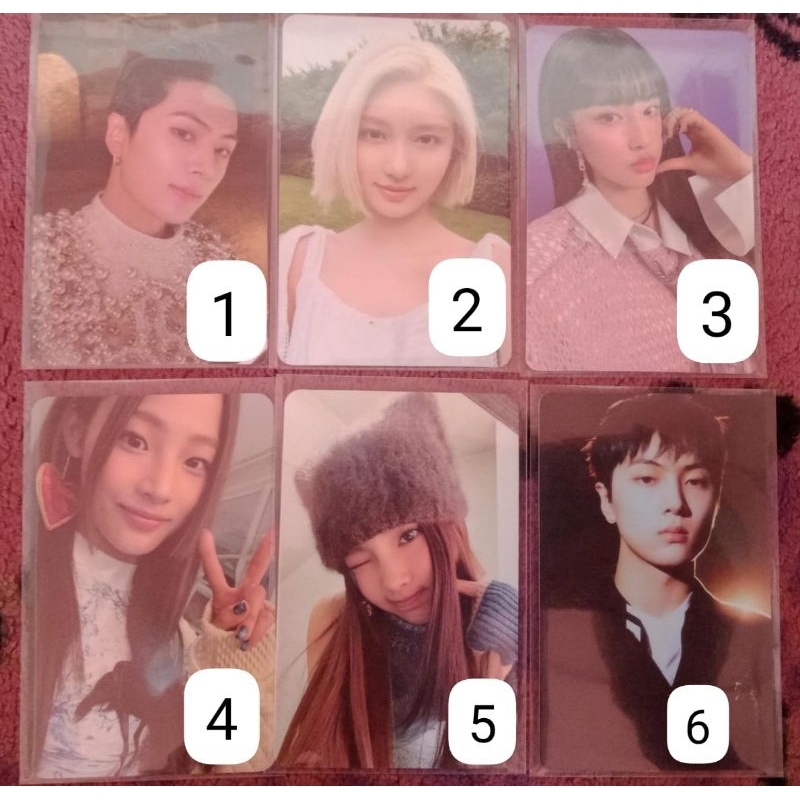 photocard official | enhypen,ive,stayc,newjeans