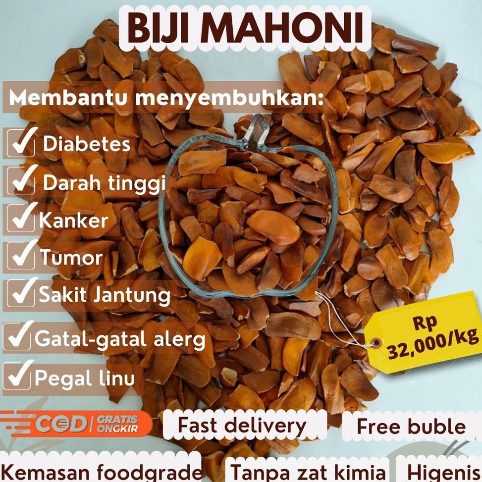 

XPRESS biji mahoni kemasan 1kg