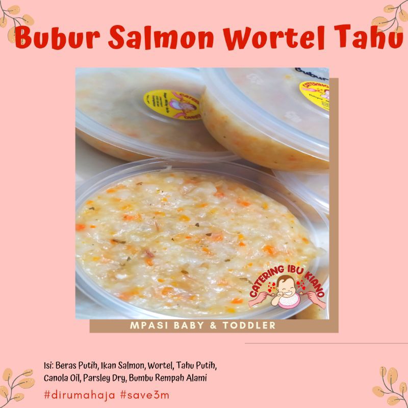 Bubur Salmon Catering MPASI Bayi FROZEN