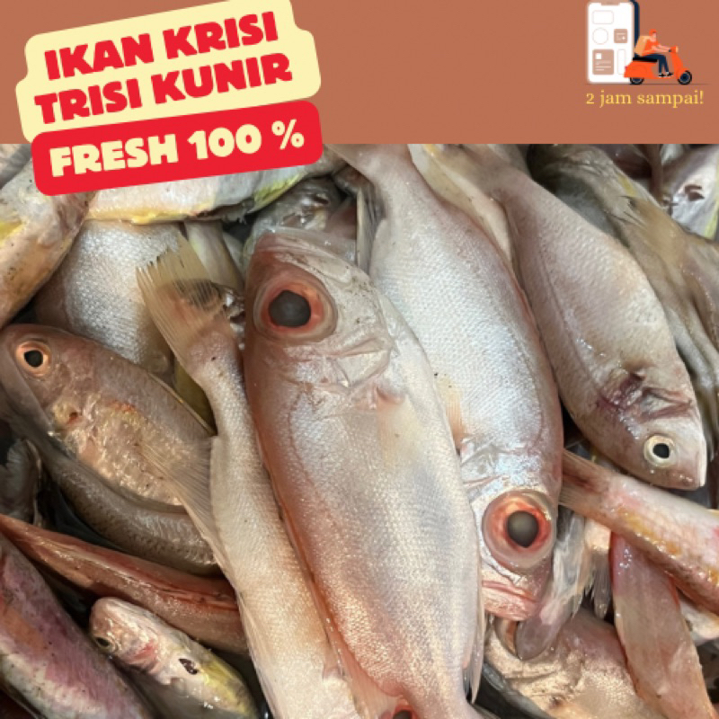 

Ikan Krisi Trisi Kunir Utuh 1 kg Fresh Fish KIRIM INSTAN BANDUNG