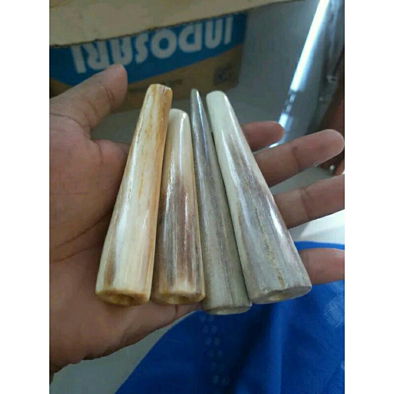 once/piprok tulang marlin