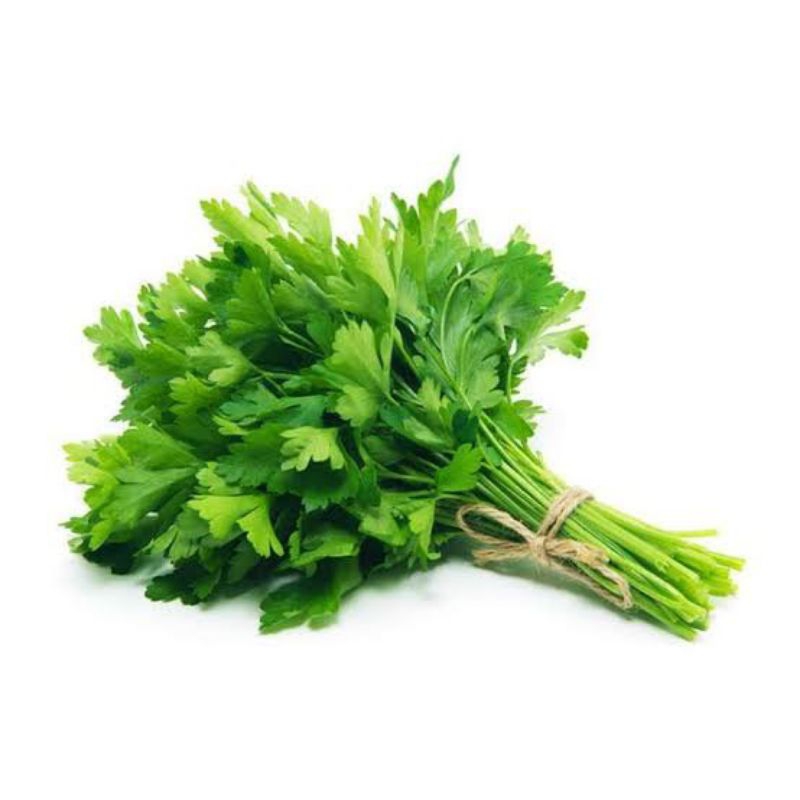 

Sayur Daun Seledri