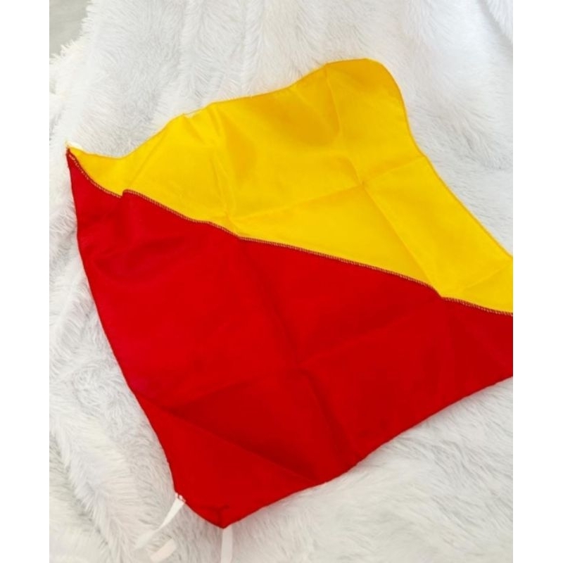 

Bendera semaphore
