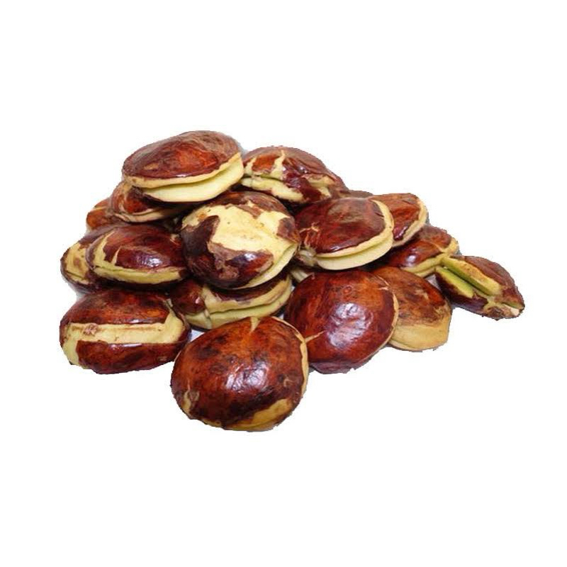 

Jengkol