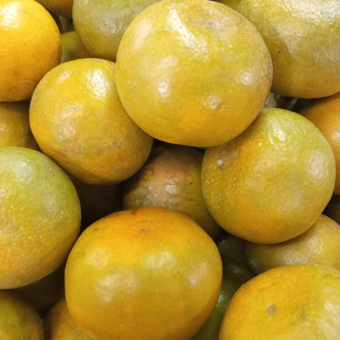 

Buah 1Kg Jeruk Malang Madu, Buah Fresh Same Day Delivery Jogja