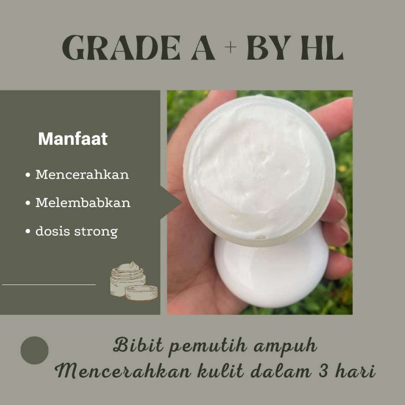 Bibit pemutih grade A++