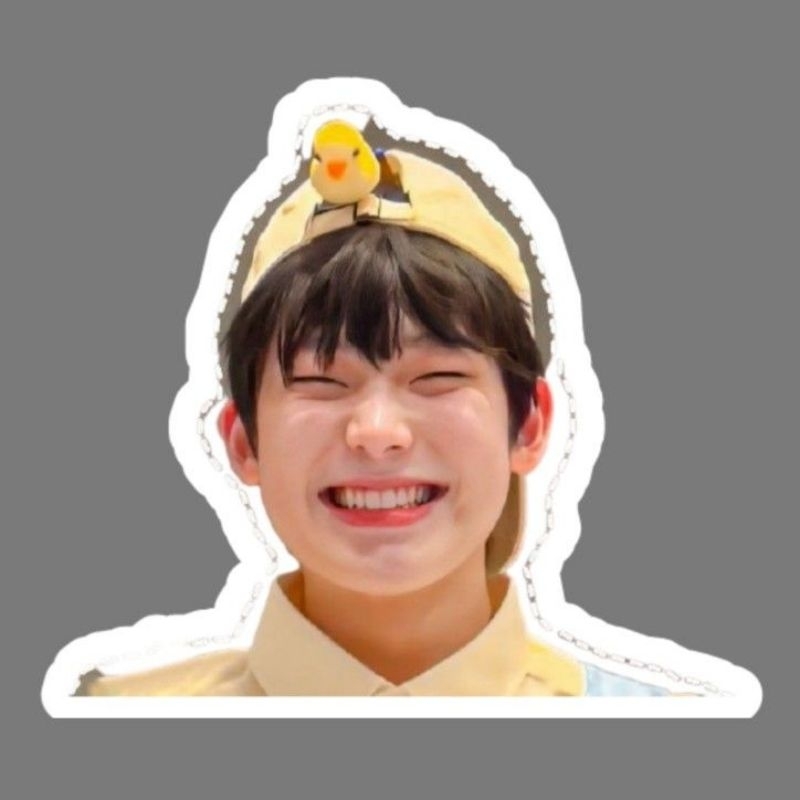 

CUSTOM STICKER KARAKTER A3 kpop/anime/dll