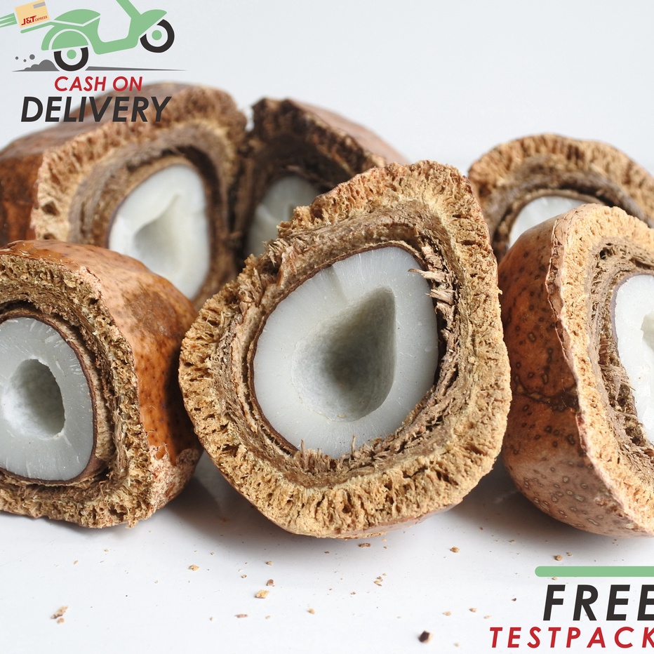 

FSASH SALE Buah Zuriat Mesir Belah 1 Kg Doum Belah Promil Asli Siap Konsumsi Original
