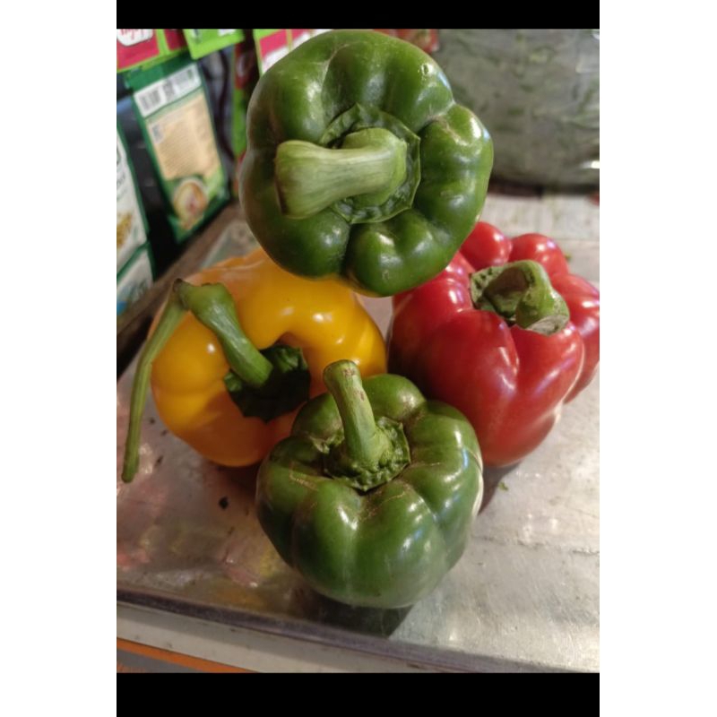 

cabai paprika campur 2 ijo merah 1 kuning 1 PakSr