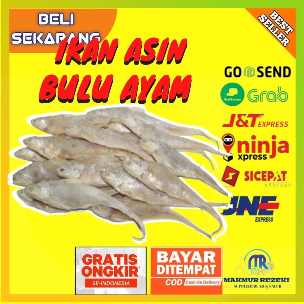 

IKAN ASIN BULU AYAM 250 GRAM