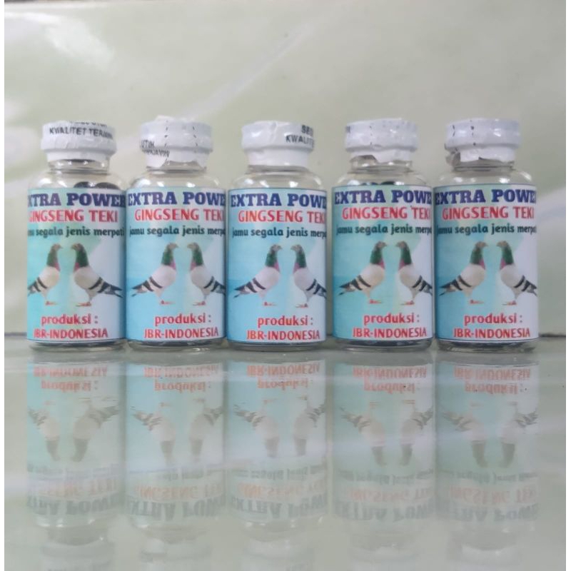 EXTRA POWER GINGSENG TEKI