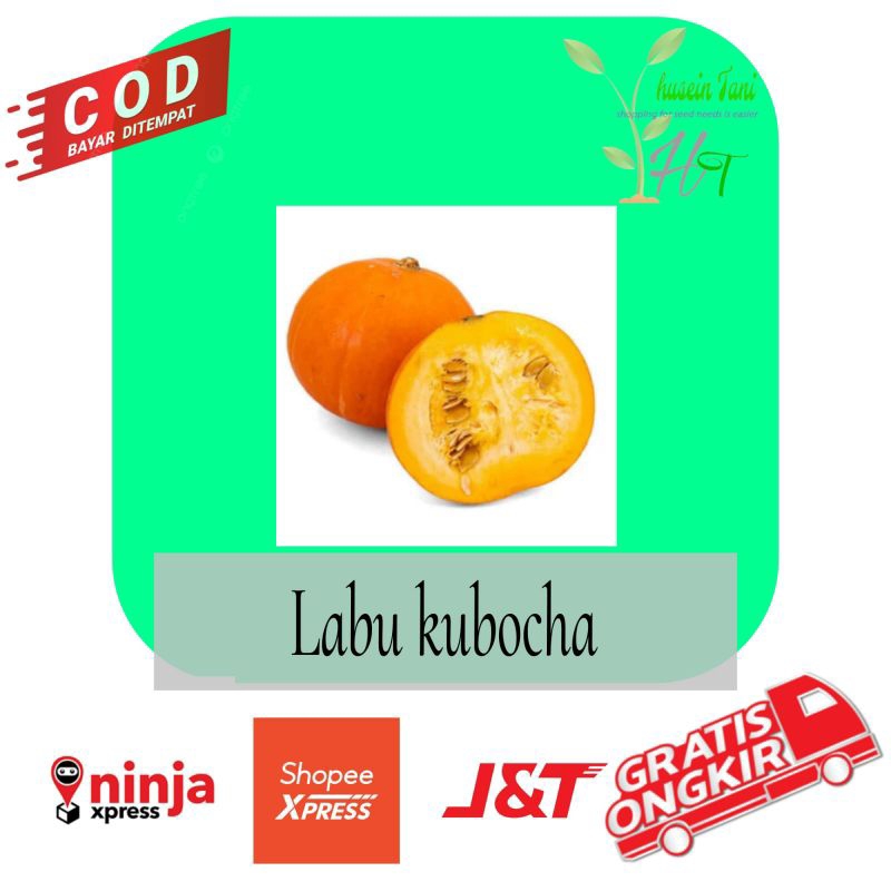 benih labu kabocha 7 seeds