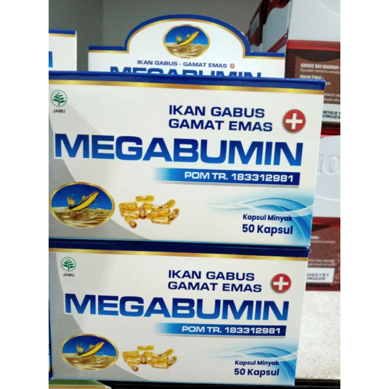 Kapsul ikan gabus megabumin