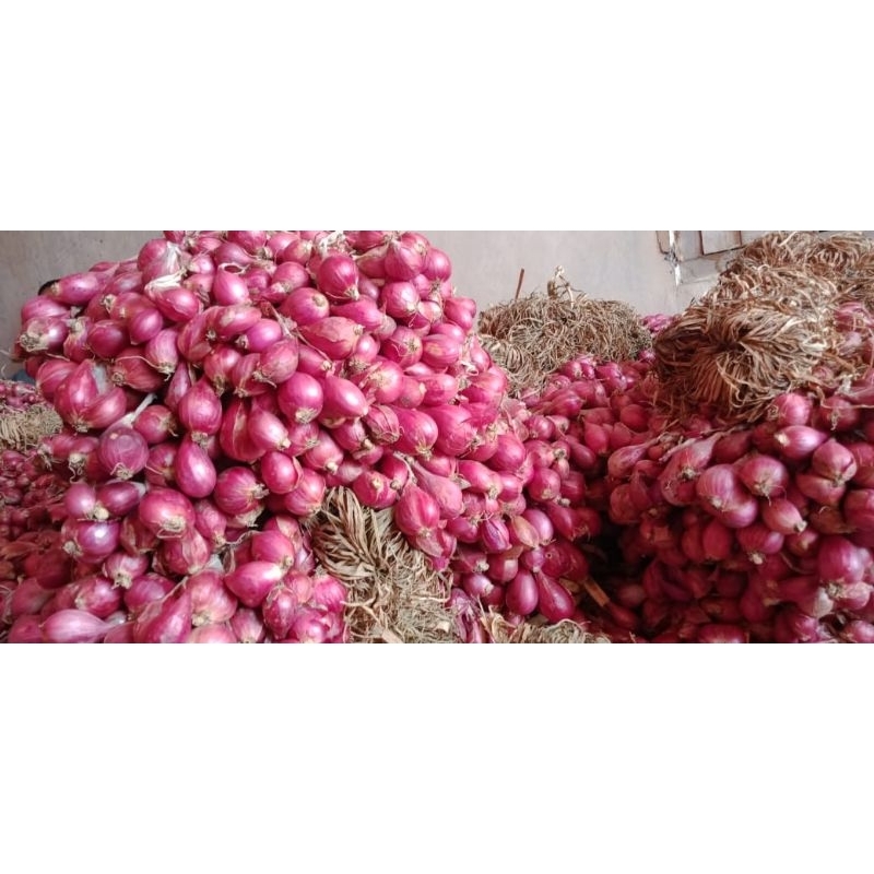 

Bawang Merah Khas Brebes Termurah 3kg