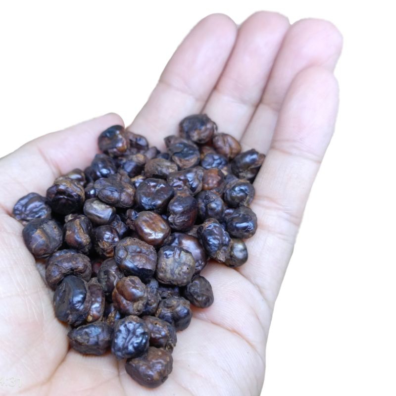 

Kopi Jagung 250 gram atau ¼ kg biji atau bubuk kopi hitam bukan luwak