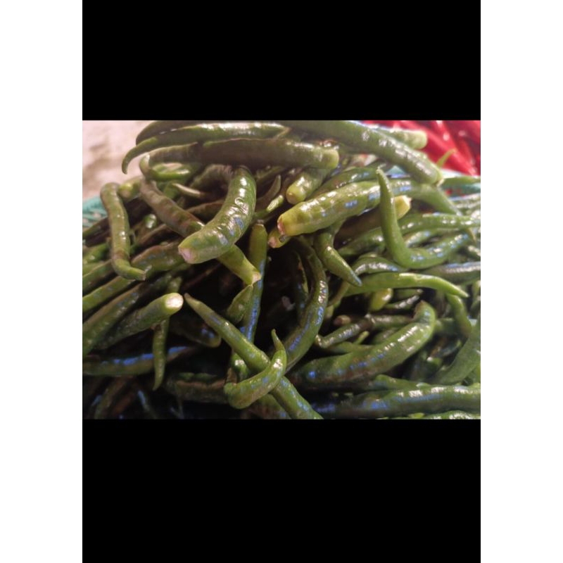 

Cabai kriting ijo petik PakSr 250gram