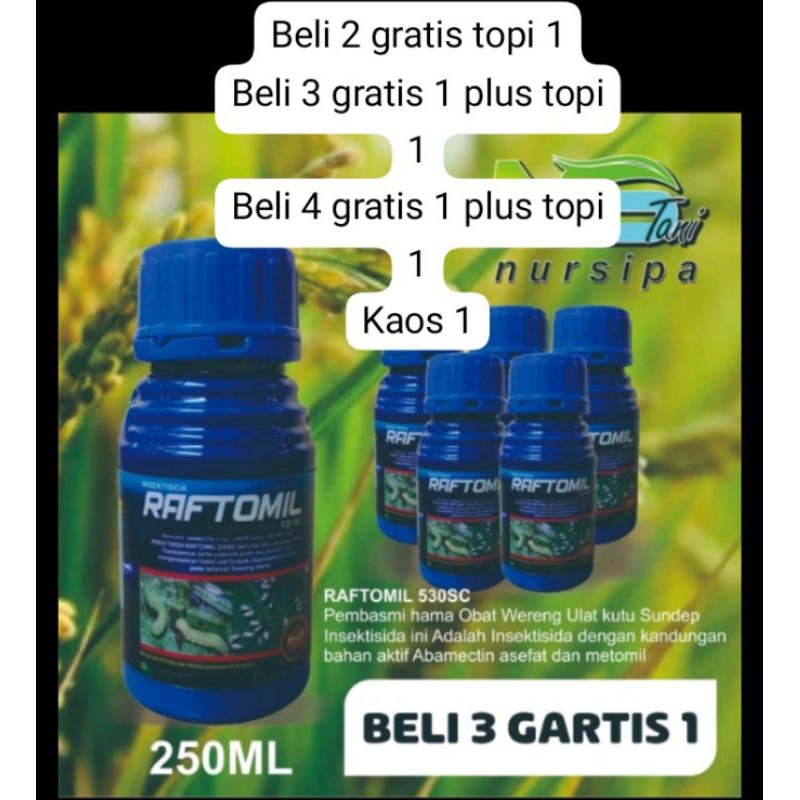 RAFTOMIL530SC250ML