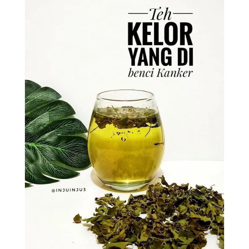 

Teh Daun Kelor Kering Organik 18gr