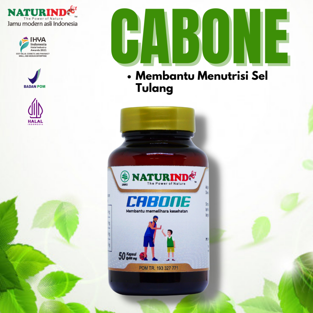 

Obat Herbal CABONE NATURINDO (Spesialis Nutrisi Tulang)