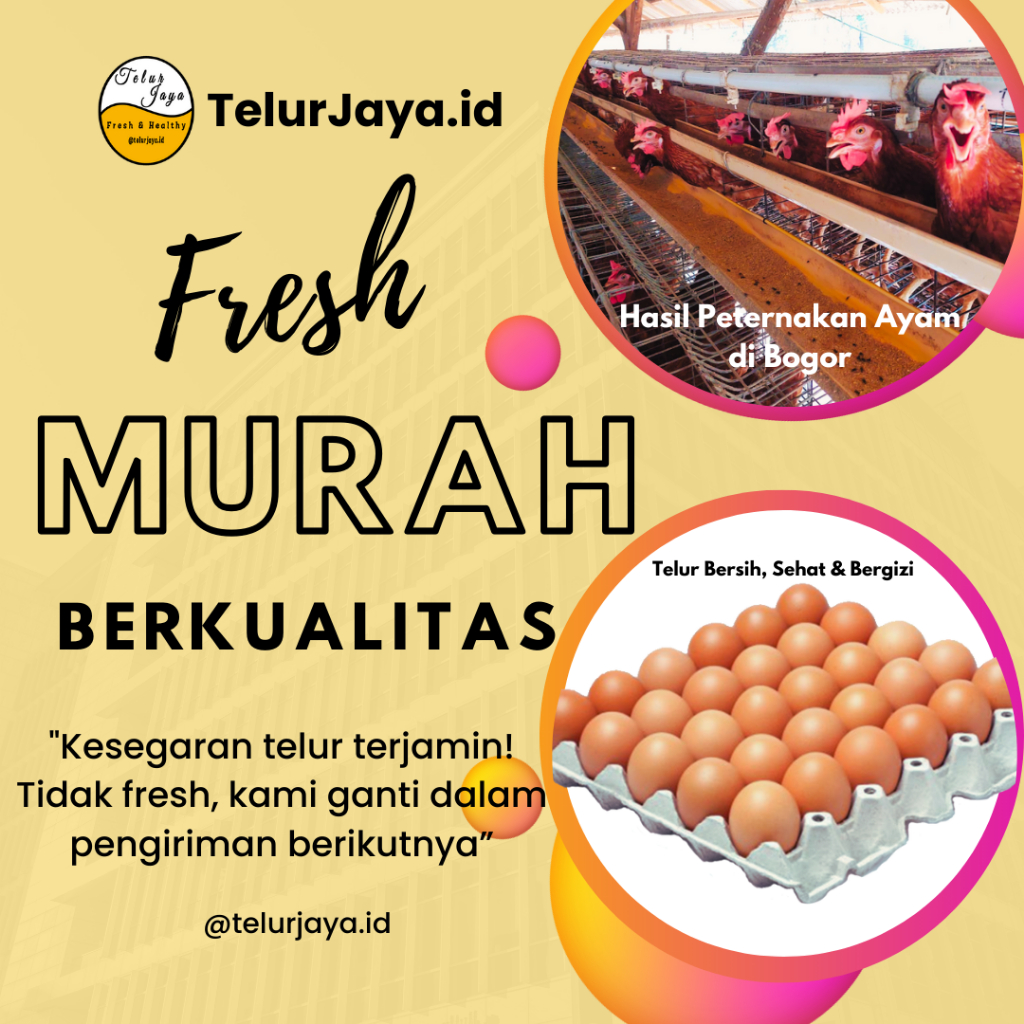 

Telur Ayam Negeri SEGAR 1 Tray (30 butir) Hasil Peternakan di Bogor