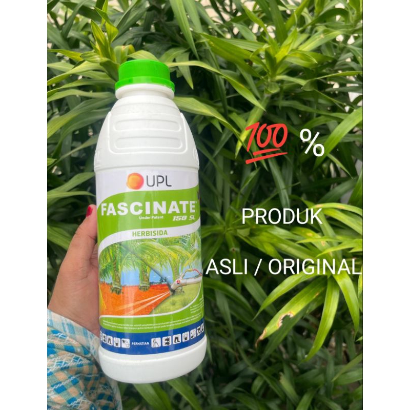 HERBISIDA FASCINATE 150 SL , RACUN RUMPUT LULANGAN