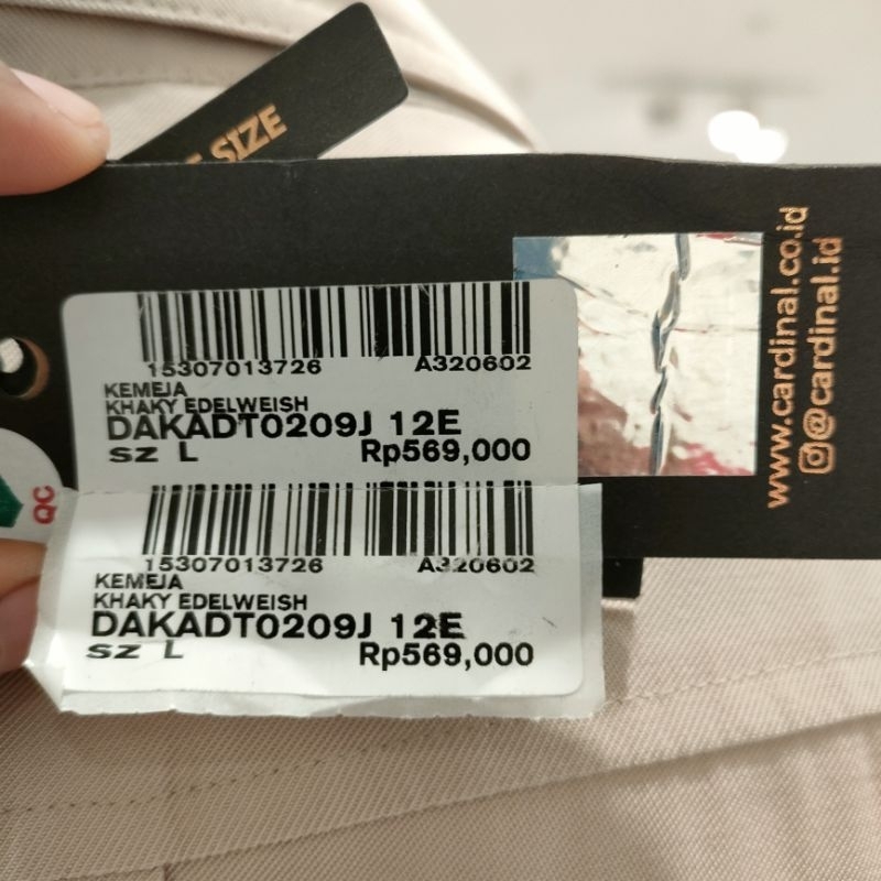 CARDINAL FEMME atasan wanita