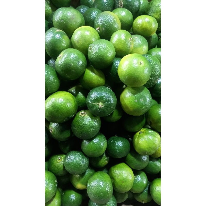 

Jeruk Santang Madu 1kg