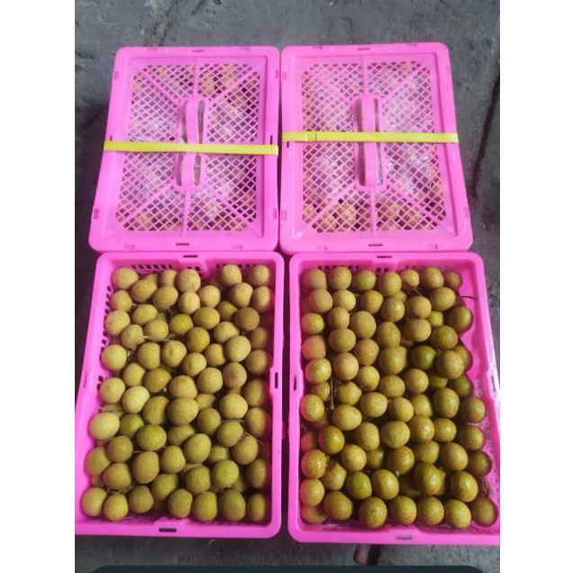 

LENGKENG BANGKOK GIFT PACK 2.5KG