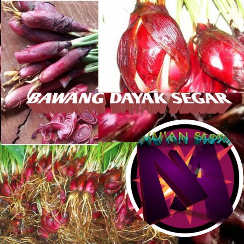 

BAWANG DAYAK SEGAR Kemasan 1kg