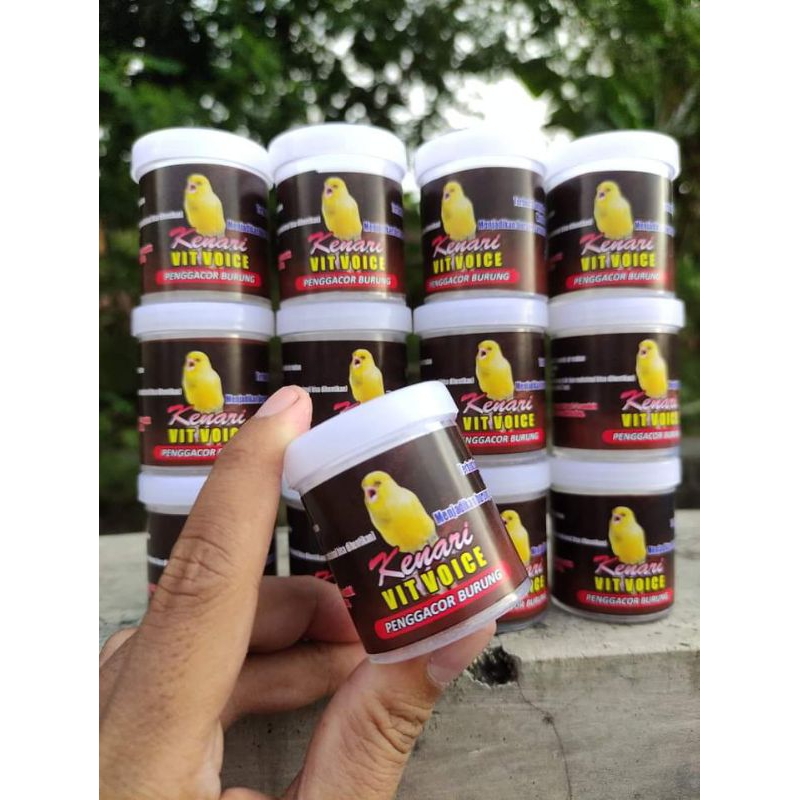 kenari vit voice_vitaminnya burung jawara, membuat lebih fighter