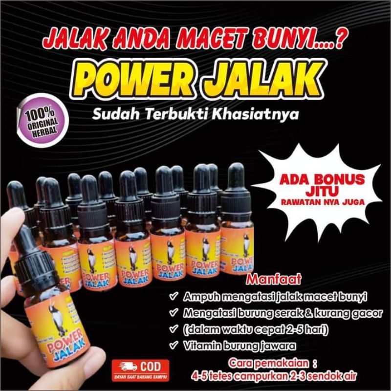 vitamin power jalak_penggacor burung jalak