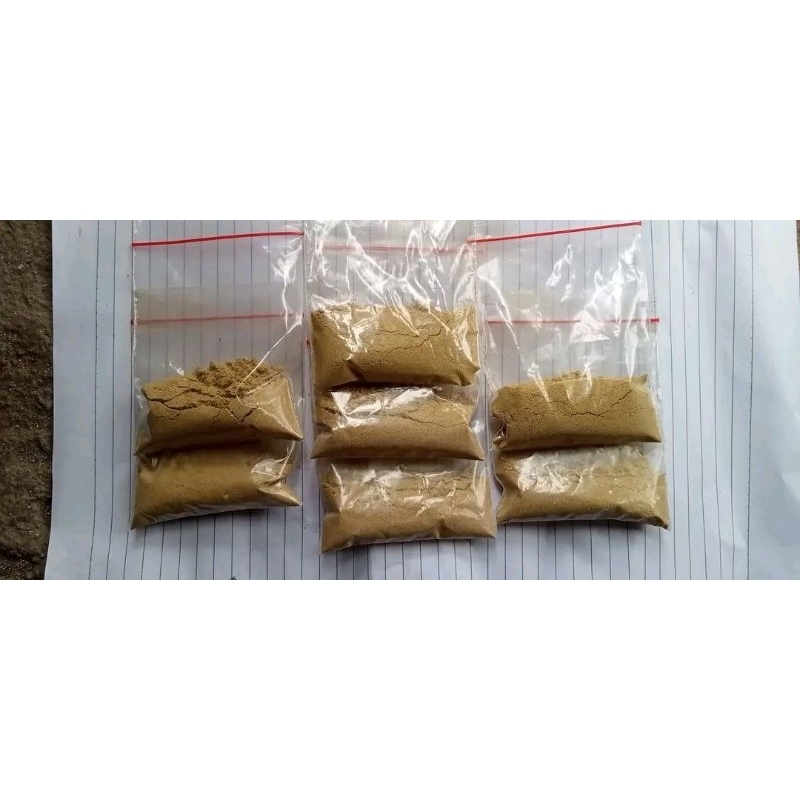 sadek jamu ramuan jangkrik petarung