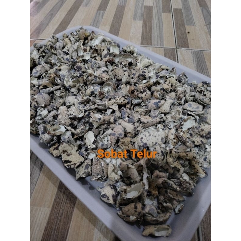 

Cangkang telur puyuh kering kulit telur puyuh