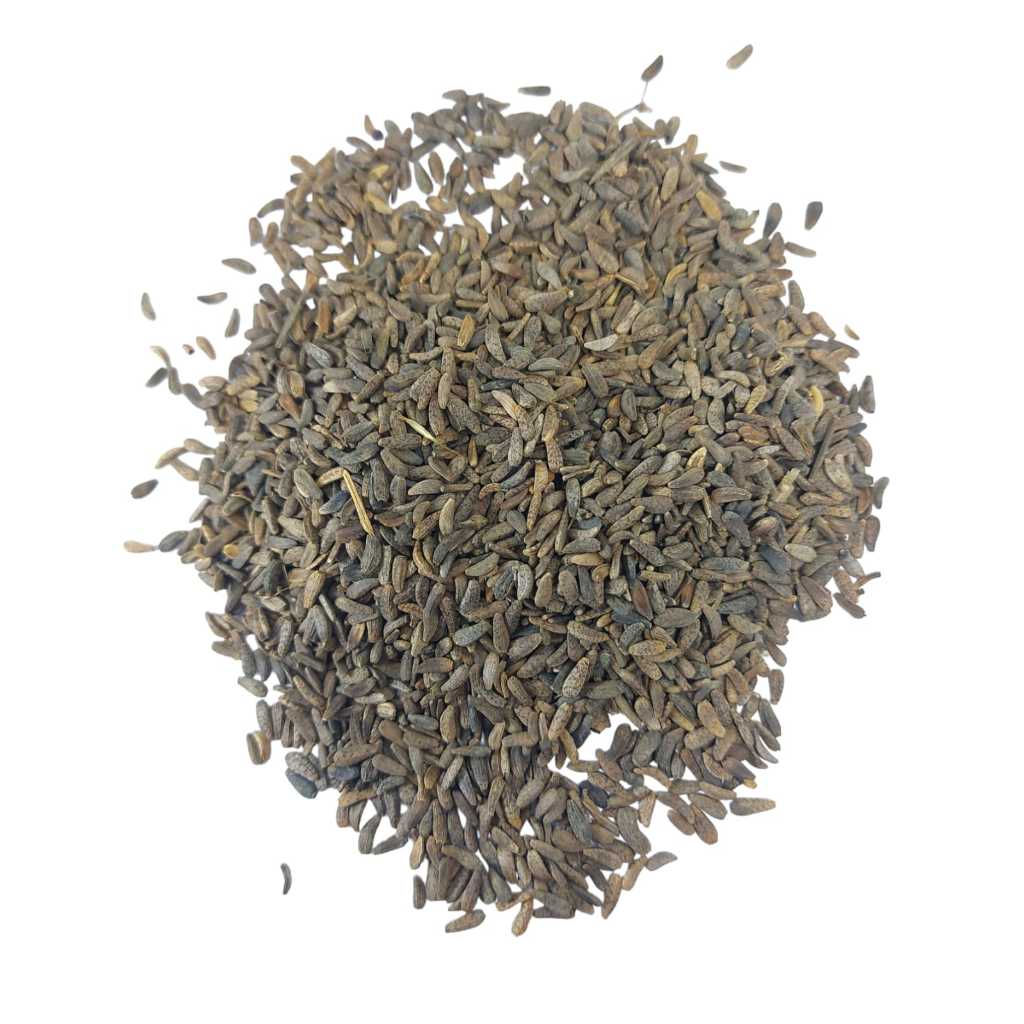 

Niu Bang Zi 600 gram Niu Pang Zi 牛旁子 Fructus Arctii