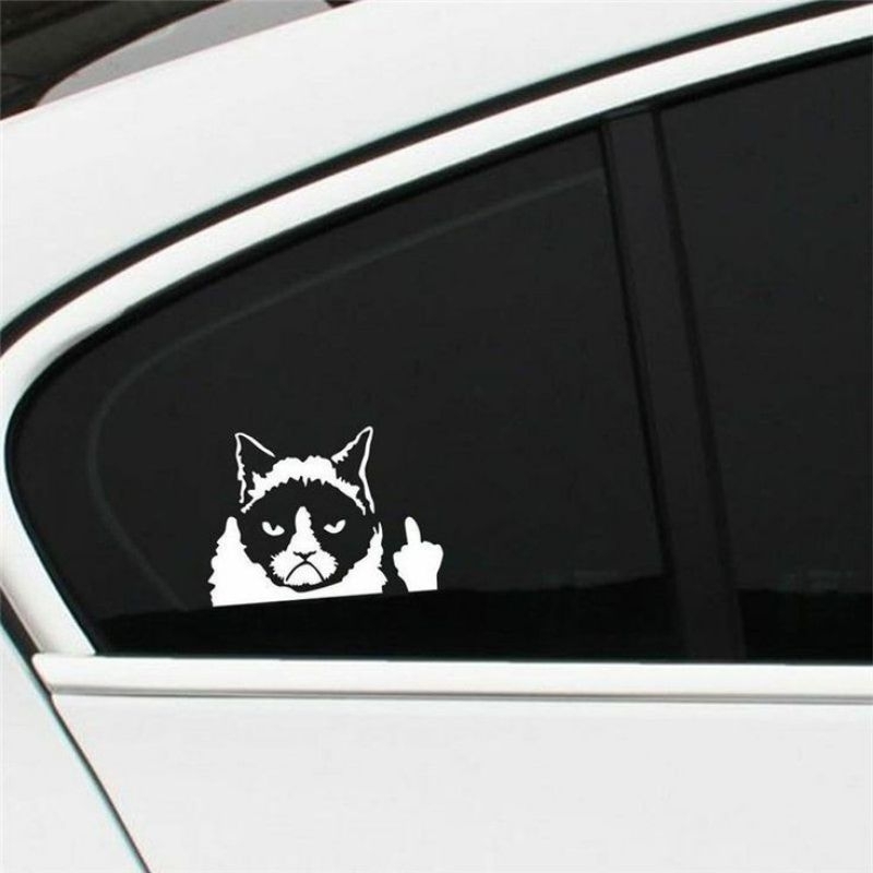 sticker stiker kaca mobil kucing lucu