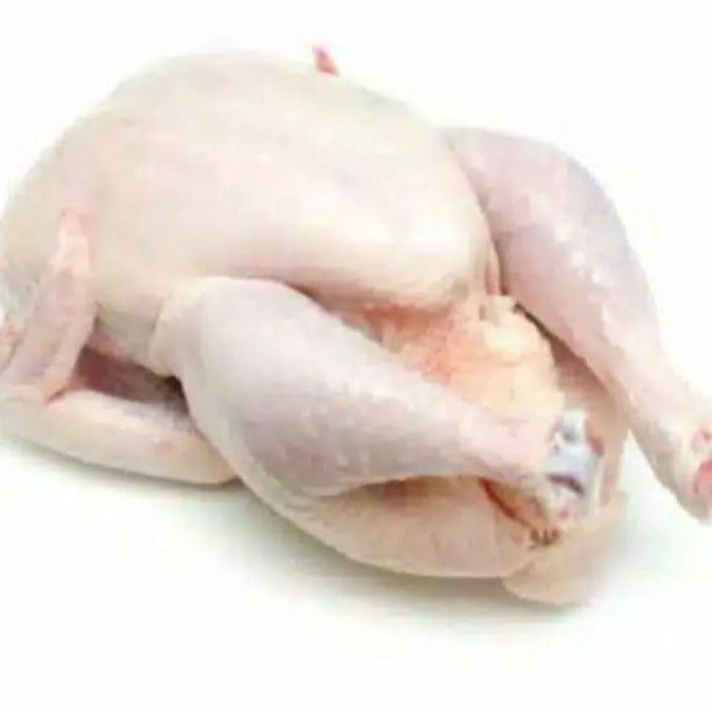 

ZBQK2294 D2289 Ayam Broiler Karkas Frozen 91kg