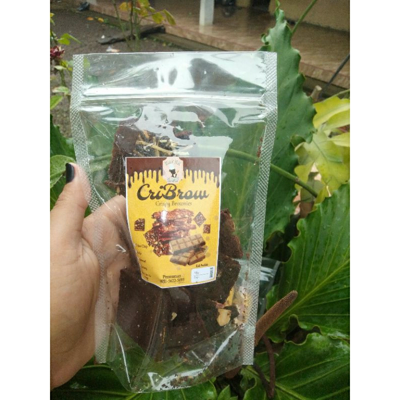 

Cribrow Brownies Crispy