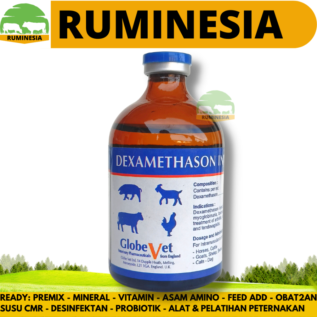 DEXA GLOBE VET 100 ml - DEXAMETHASON PANTEX HOLLAND